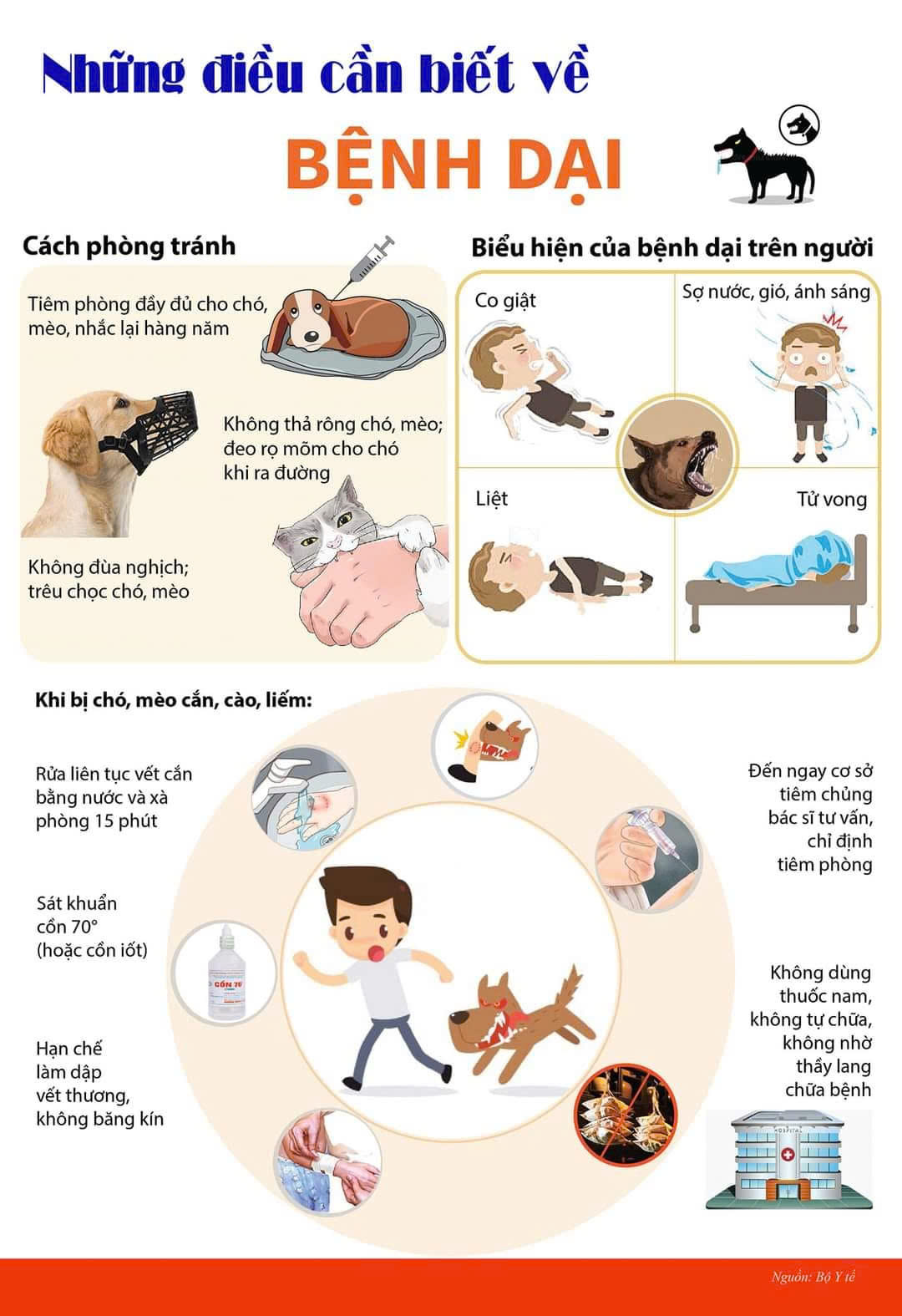 Ba Tri -Tăng cường các biện pháp phòng, chống bệnh dại trên người và kiểm soát bệnh dại trên động vật