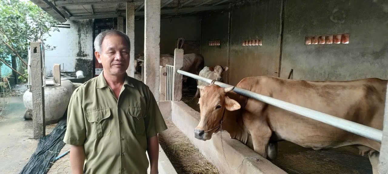 Mô hình “5+1” giúp hội viên cựu chiến binh thoát nghèo, vươn lên khá giàu. 